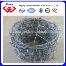 electro galvanized barbed wire